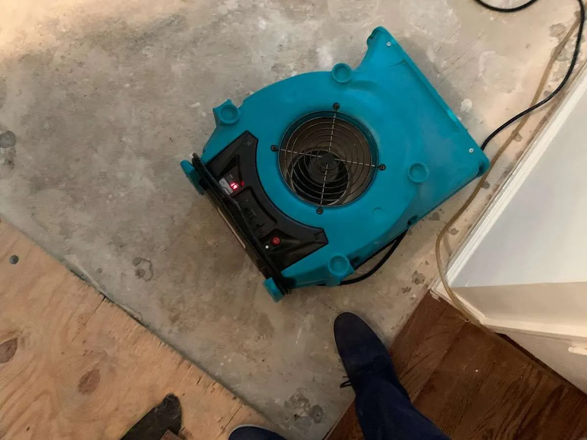 Air mover drying subfloor during Commercial Water Damage Restoration in Parlier
